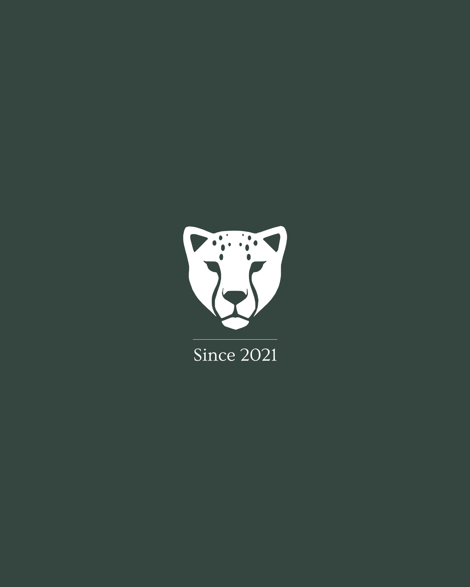 Minimalist white Wildride logo with the text "Since 2021" underneath, set against a dark green background.